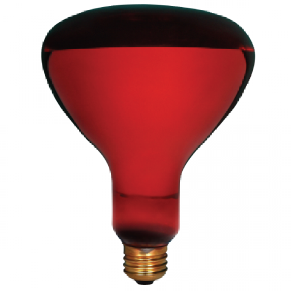 INCANDESCENT SAFETY MAX INFRARED 250W R40 E26 120V RED STD