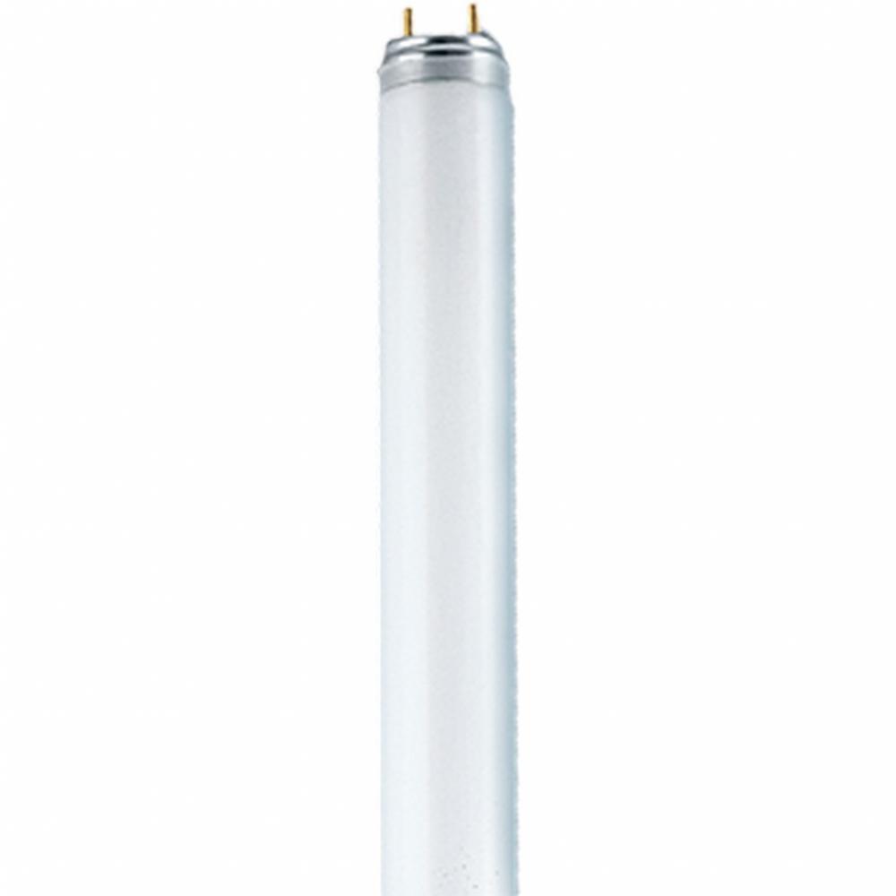 FLUORESCENT LINEAR T8 58W 3000K MED BIPIN G13 RADIUM