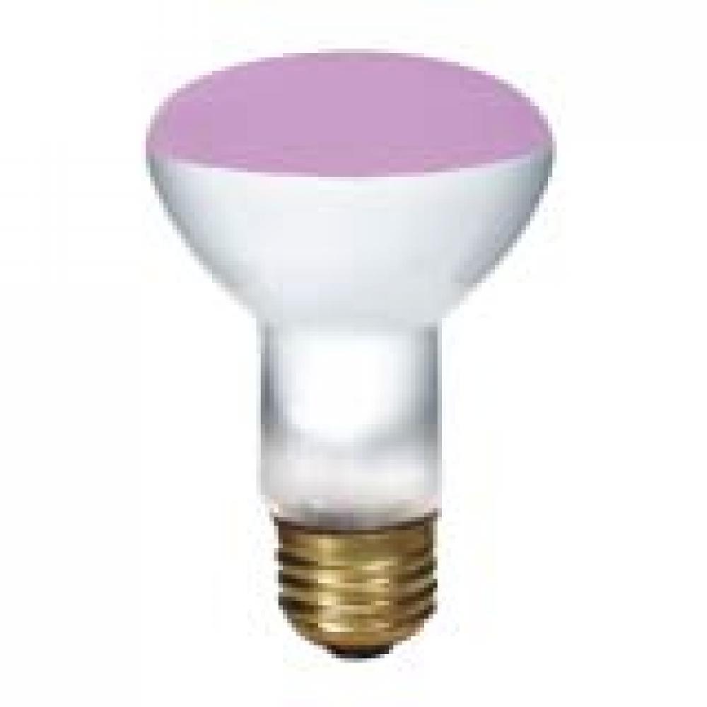 INCANDESCENT COLORED 50W R20 E26 130V TRANSPARENT PINK STD