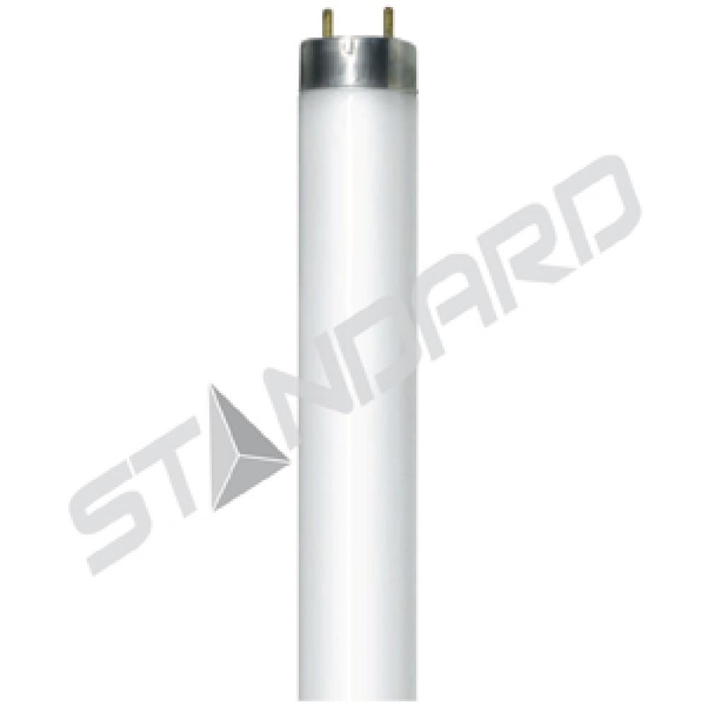 FLUORESCENT LINEAR T8 17W 4100K RAPID START (RS) MED BIPIN G13 STD