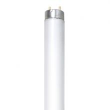 Stanpro (Standard Products Inc.) 62984 - FLUORESCENT LINEAR T8 32W 6500K RAPID START (RS) MED BIPIN G13 STD