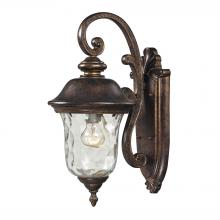 ELK Home Plus 45020/1 - SCONCE