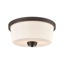 ELK Home Plus CN310231 - FLUSH MOUNT