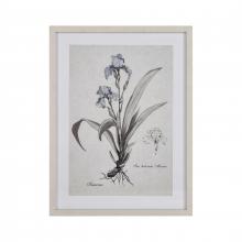 ELK Home Plus S0056-10633 - Iris Botanic Framed Wall Art