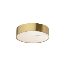 Dainolite WSH-1220LEDFH-AGB - 20W Flush Mount, AGB w/ ALB diffuser