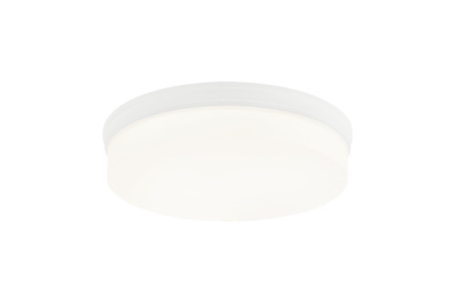Circian Matte White Flush Mounts