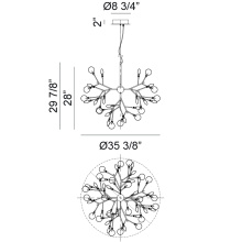 C69836GL_C.jpg
