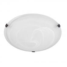 Capital Canada 2822FF-AL - 2 Light Flush Mount