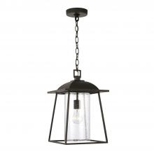 Capital Canada 943614OZ - 1 Light Outdoor Hanging Lantern