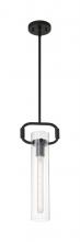 Nuvo 60/7153 - Teresa - 1 Light Pendant with Clear Glass - Matte Black Finish