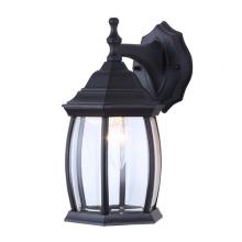 Canarm IOL1210 - Outdoor 1 Light Outdoor Lantern, Black Finish