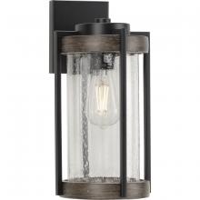 Progress P560282-31M - P560282-31M 1-60W MED WALL LANTERN