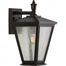 Progress P560167-020 - Cardiff Collection One-Light Medium Wall Lantern with DURASHIELD