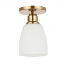 Maxilite MX 3452-31 - Kirk