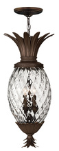 Hinkley Canada 2222CB - Large Hanging Lantern