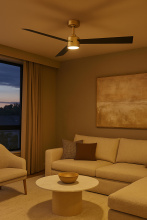 907452FHB-LDD_rc_life2.jpg