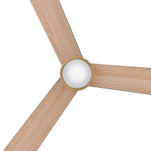 907552FHB-LDD_Speck_alt7.jpg