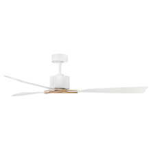 908260FMW-LDD_Rafter_alt6.jpg