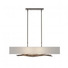 Hubbardton Forge - Canada 137660-SKT-STND-05-SF4298 - Brindille Pendant