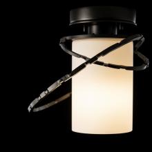 Hubbardton Forge - Canada 352401-SKT-14-GG0160 - Olympus Outdoor Semi-Flush