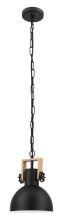 Eglo Canada 204201A - 1L Pendant Light / Luminaire suspendu 1L