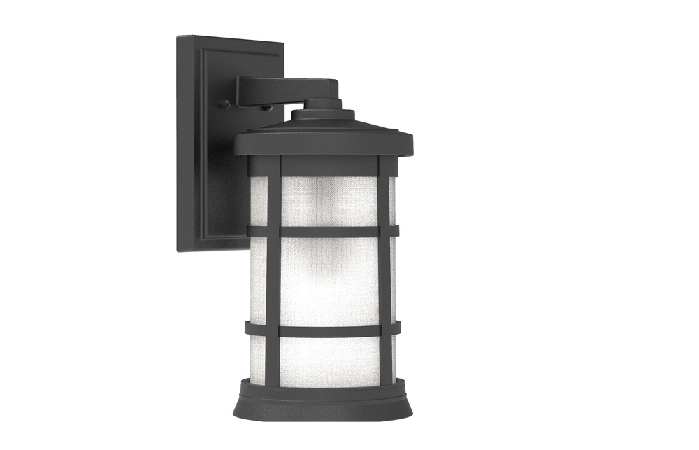 Resilience 1 Light Medium Outdoor Wall Lantern in Textured Black